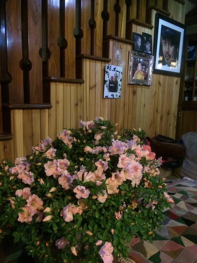 Ngawang Homestay Darjeeling  Exterior photo